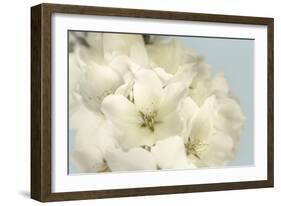 Summer Whites-Julie Greenwood-Framed Art Print