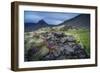 Summer Wildflowers and Herbs Growing around Moss and Lava Rocks-Ragnar Th Sigurdsson-Framed Photographic Print