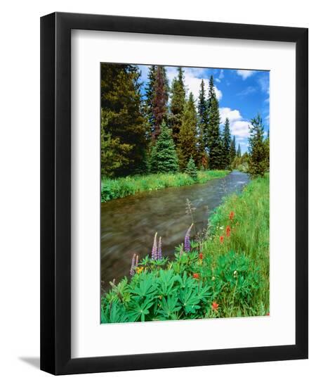 Premium Photographic Print, , large