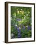Summer Wildflowers in Mt Rainier National Park, Washington-Jerry Ginsberg-Framed Photographic Print