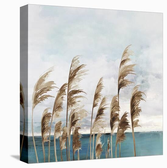 Summer Wind I-Aimee Wilson-Stretched Canvas