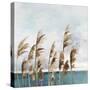 Summer Wind I-Aimee Wilson-Stretched Canvas