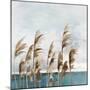 Summer Wind I-Aimee Wilson-Mounted Premium Giclee Print