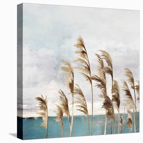 Summer Wind II-Aimee Wilson-Stretched Canvas