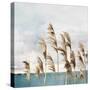 Summer Wind II-Aimee Wilson-Stretched Canvas