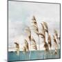 Summer Wind II-Aimee Wilson-Mounted Art Print