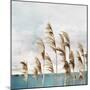 Summer Wind II-Aimee Wilson-Mounted Art Print