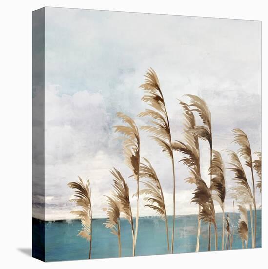 Summer Wind II-Aimee Wilson-Stretched Canvas