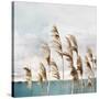 Summer Wind II-Aimee Wilson-Stretched Canvas