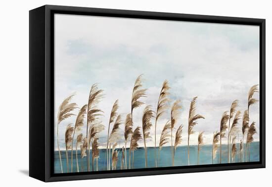Summer Wind III-Aimee Wilson-Framed Stretched Canvas