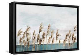 Summer Wind III-Aimee Wilson-Framed Stretched Canvas
