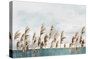 Summer Wind III-Aimee Wilson-Stretched Canvas