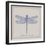 Summer Wings II-The Vintage Collection-Framed Giclee Print