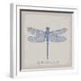 Summer Wings II-The Vintage Collection-Framed Giclee Print