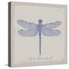 Summer Wings II-The Vintage Collection-Stretched Canvas