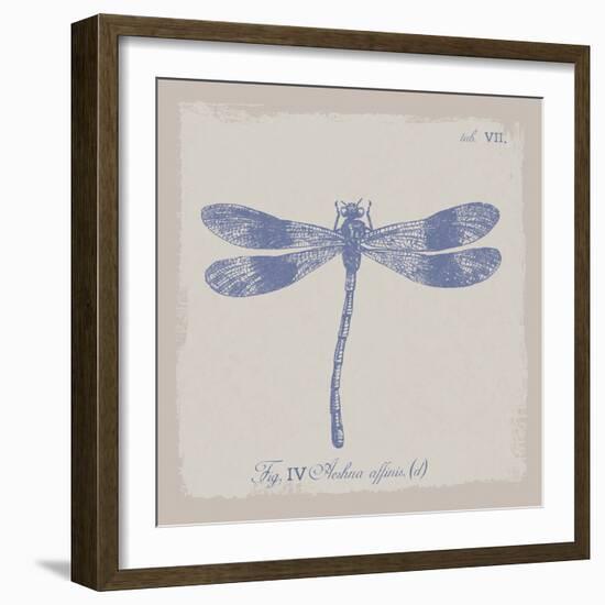 Summer Wings IV-The Vintage Collection-Framed Giclee Print