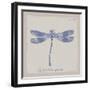 Summer Wings IV-The Vintage Collection-Framed Giclee Print