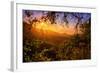 Summer Wonderland at Sunrise Oakland Hills California-Vincent James-Framed Photographic Print