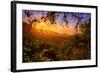 Summer Wonderland at Sunrise Oakland Hills California-Vincent James-Framed Photographic Print