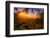 Summer Wonderland at Sunrise Oakland Hills California-Vincent James-Framed Photographic Print