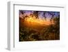 Summer Wonderland at Sunrise Oakland Hills California-Vincent James-Framed Photographic Print