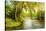 Summer Wood Lake With Trees And Bushes-balaikin2009-Stretched Canvas