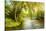 Summer Wood Lake With Trees And Bushes-balaikin2009-Stretched Canvas