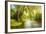 Summer Wood Lake With Trees And Bushes-balaikin2009-Framed Art Print