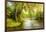 Summer Wood Lake With Trees And Bushes-balaikin2009-Framed Art Print