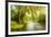 Summer Wood Lake With Trees And Bushes-balaikin2009-Framed Art Print