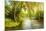 Summer Wood Lake With Trees And Bushes-balaikin2009-Mounted Art Print