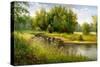 Summer Wood Lake With Trees And Bushes-balaikin2009-Stretched Canvas