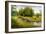 Summer Wood Lake With Trees And Bushes-balaikin2009-Framed Art Print