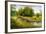 Summer Wood Lake With Trees And Bushes-balaikin2009-Framed Art Print