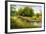 Summer Wood Lake With Trees And Bushes-balaikin2009-Framed Art Print