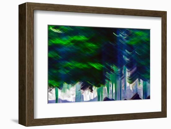 Summer Woods-Ursula Abresch-Framed Photographic Print