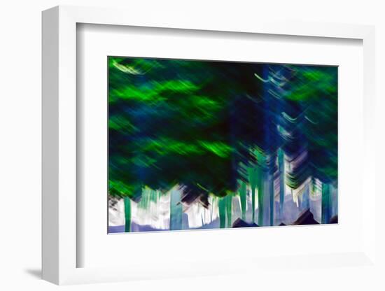 Summer Woods-Ursula Abresch-Framed Photographic Print