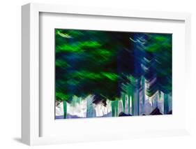 Summer Woods-Ursula Abresch-Framed Photographic Print