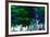 Summer Woods-Ursula Abresch-Framed Photographic Print