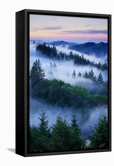 Summer World of Mount Tamalpais, San Francisco, California-Vincent James-Framed Stretched Canvas