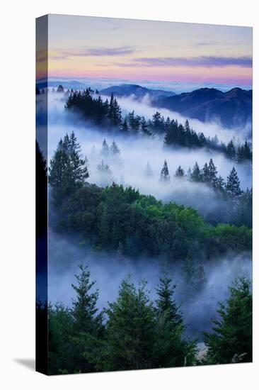 Summer World of Mount Tamalpais, San Francisco, California-Vincent James-Stretched Canvas