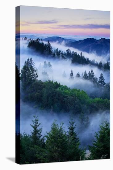 Summer World of Mount Tamalpais, San Francisco, California-Vincent James-Stretched Canvas