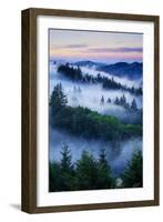 Summer World of Mount Tamalpais, San Francisco, California-Vincent James-Framed Photographic Print