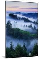 Summer World of Mount Tamalpais, San Francisco, California-Vincent James-Mounted Photographic Print