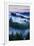 Summer World of Mount Tamalpais, San Francisco, California-Vincent James-Framed Photographic Print