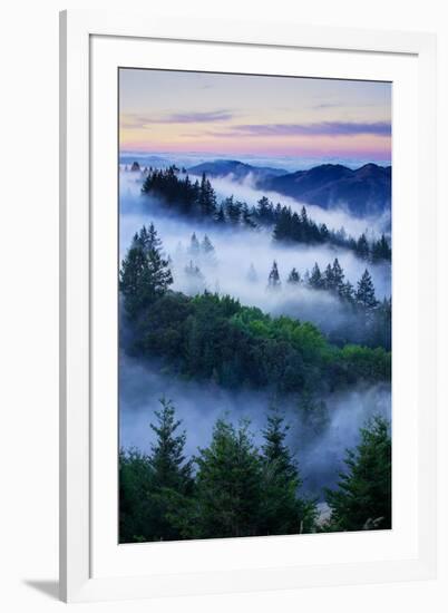 Summer World of Mount Tamalpais, San Francisco, California-Vincent James-Framed Photographic Print