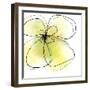 Summer Yellow Petals-Jan Weiss-Framed Art Print