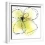 Summer Yellow Petals-Jan Weiss-Framed Art Print