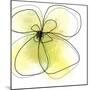 Summer Yellow Petals-Jan Weiss-Mounted Art Print