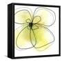 Summer Yellow Petals-Jan Weiss-Framed Stretched Canvas